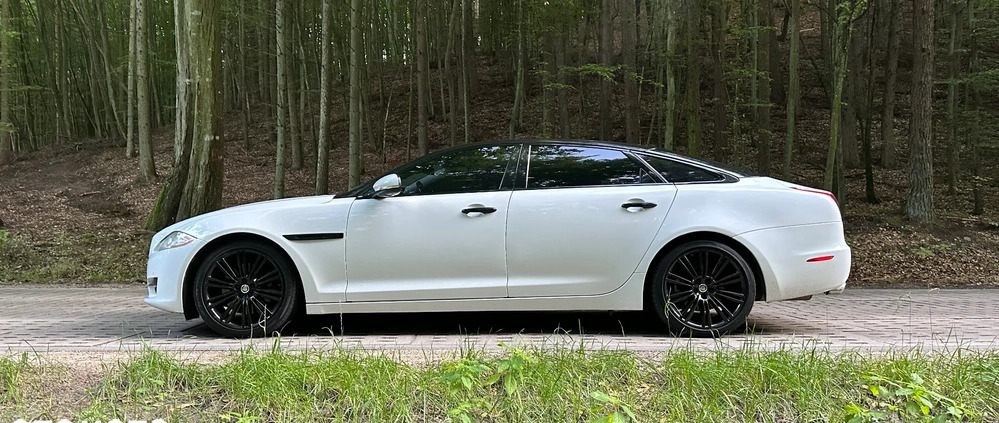 Jaguar XJ cena 99900 przebieg: 79000, rok produkcji 2015 z Barcin małe 596